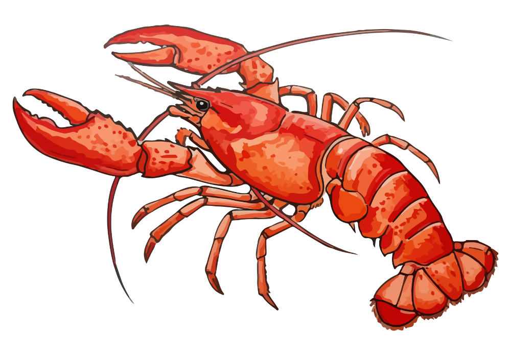 BAO BEACH restaurant beach bar - FOOD - manger sur la plage : lobster / langouste, entrées et tapas, salades, plats, fruits de mer, entrecote, filet de boeuf, magret de canard, desserts, ...